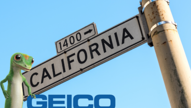 Geico Insurance in California